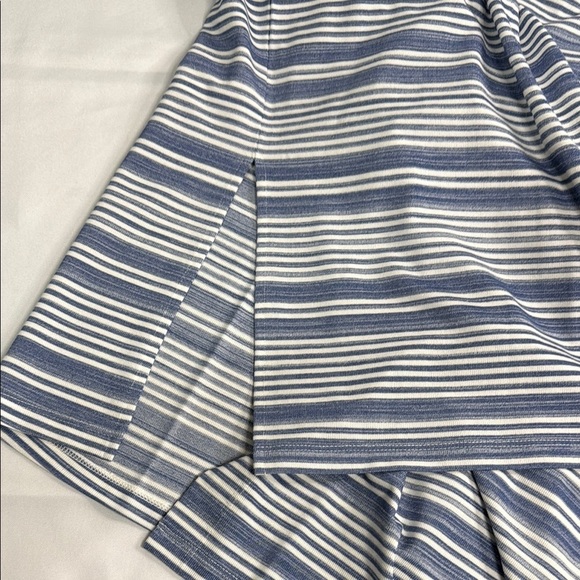 Lysse Blue and White Striped Mini Dress - Picture 8 of 8